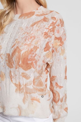 Pull - Ecru et marron