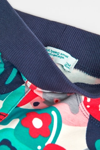 Pantalon - Turquoise