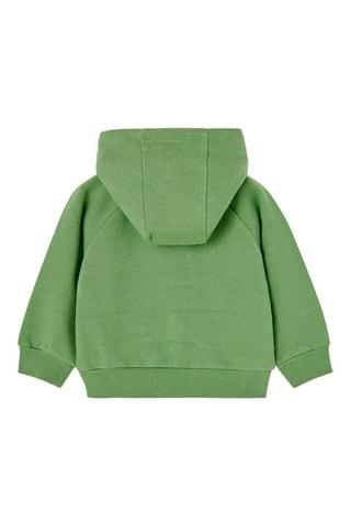Sweater met Capuchon - Groen