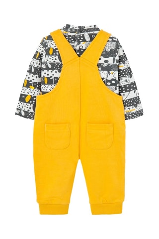 Rompertje en Tuinbroek - Grijs en Geel