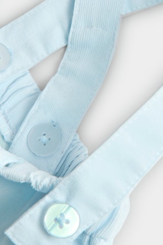 Overhemd en Short - Wit en Blauw