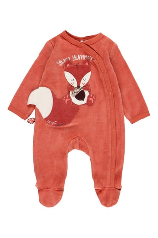 Kruippakje - Steenrood