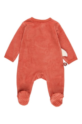 Kruippakje - Steenrood