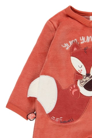 Kruippakje - Steenrood