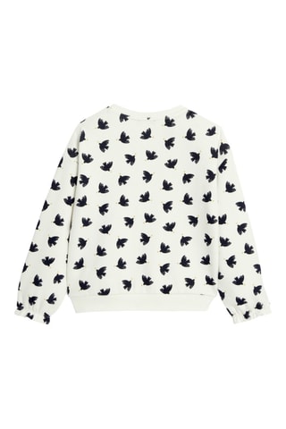 Felpa - Grigio chiaro - Okaïdi