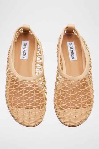 Ballerina’s - Bruin