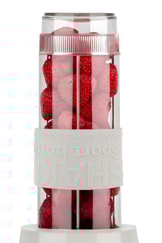 Mini blender - 570 ml - 300 W