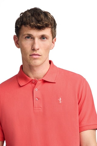 Polo regular - Coral