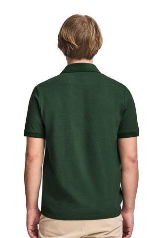 Polo regular - Verde-escuro