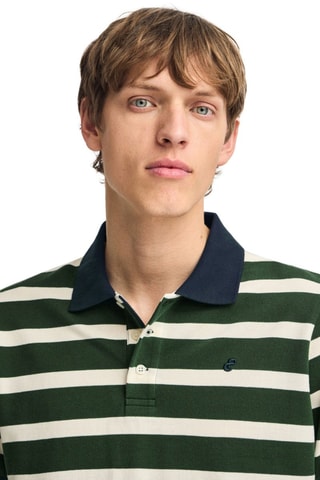 Polo regular - Verde e cru