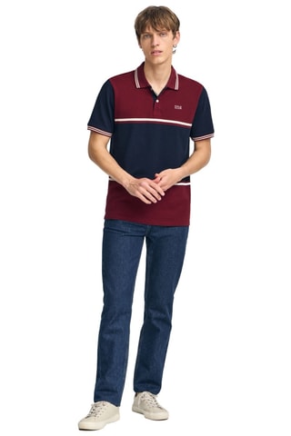 Polo loose - Bordô e azul-marinho