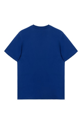 5 t-shirts Cinzento mesclado, cinzento escuro, azul, azul-real e branco