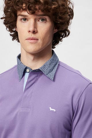 Polo - Mauve - Harmont & Blaine
