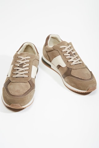 Sneakers in pelle Carpazo - Taupe