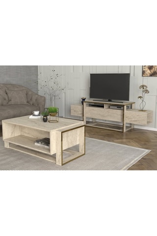 Meuble TV - 160 x 49,8 x 46,1 cm