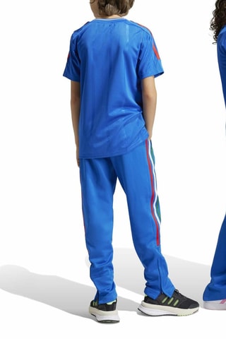 Pantalon Tiro Nations - Bleu électrique