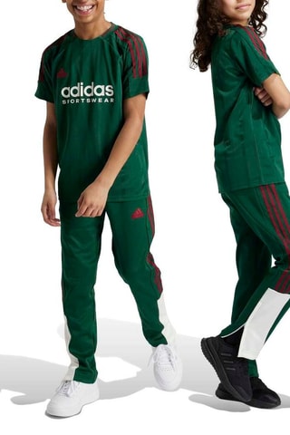 Pantalon Tiro Nations - Vert