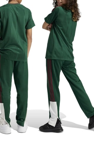 Pantalon Tiro Nations - Vert