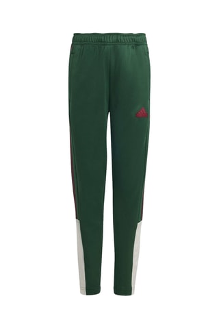 Pantalon Tiro Nations - Vert