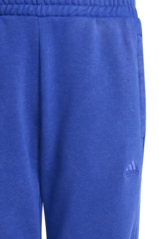 Pantalon SZN - Bleu roi