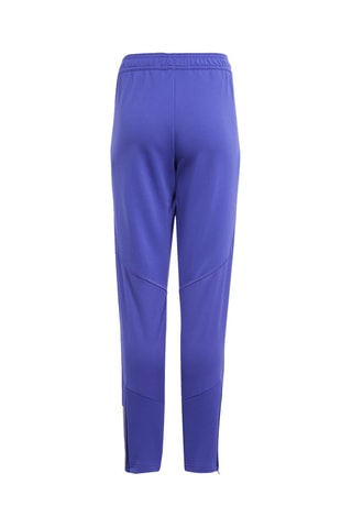 Pantalon d'entraînement Real Madrid - Bleu roi