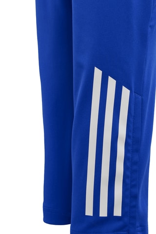 Pantalon d’entraînement Tiro 24 Competition - Bleu cobalt