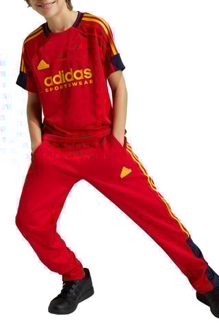 Pantalon de survêtement - Rouge