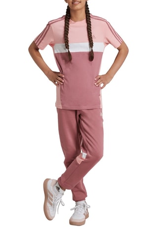 Pantalon Tiberio Colorblock - Vieux rose