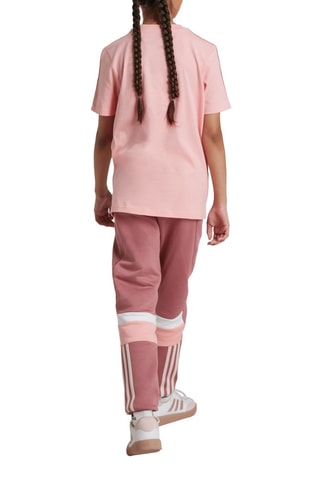 Pantalon Tiberio Colorblock - Vieux rose