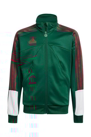 Veste de survêtement Tiro Nations - Vert