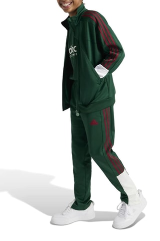 Veste de survêtement Tiro Nations - Vert