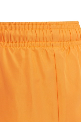 Short de bain YB Bos - Orange