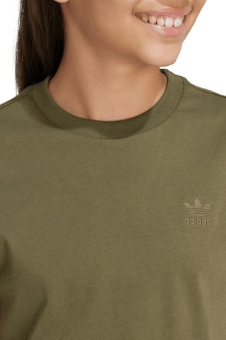 T-shirt standard - Kaki