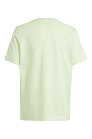 T-shirt Summer - Vert