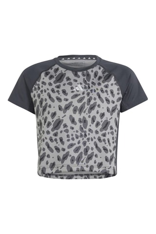 T-shirt d’entraînement All Sports Seasonal - Gris et noir