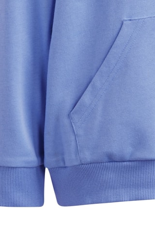 Sweat à capuche Essentials - Bleu clair