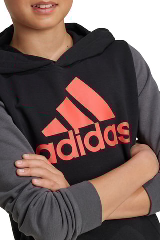 Sweat à capuche - Noir et gris foncé