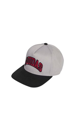 Casquette - Noir et gris