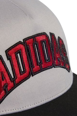 Casquette - Noir et gris