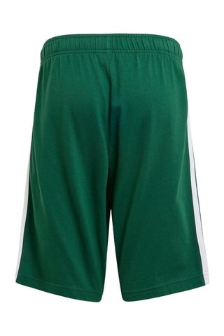 Short - Vert foncé