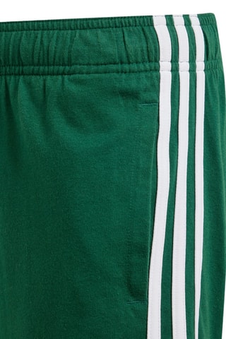 Short - Vert foncé