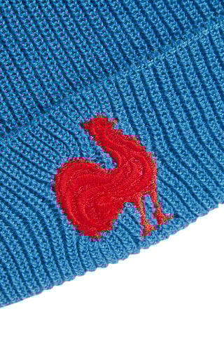 Bonnet d'entraînement Equipe de France - Bleu clair