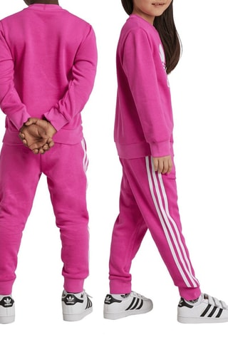 Sweat et pantalon Adicolor - Fuchsia