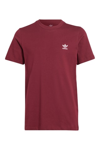 T-shirt Adicolor - Bordeaux