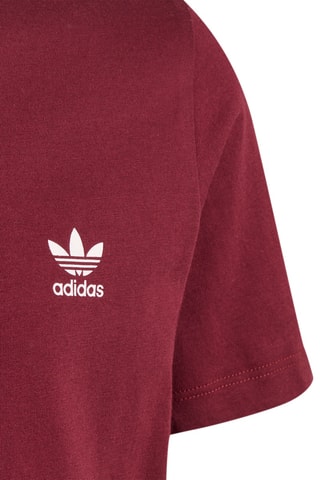 T-shirt Adicolor - Bordeaux