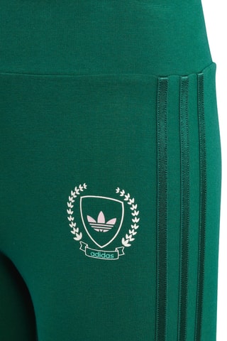 Legging taille haute Collegiate - Vert