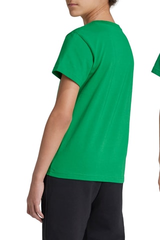 T-shirt Adicolor - Vert et blanc