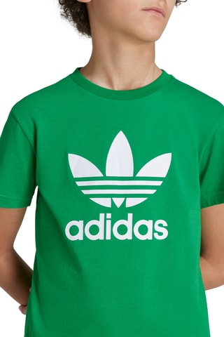 T-shirt Adicolor - Vert et blanc