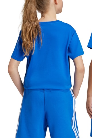 T-shirt - Bleu roi et blanc