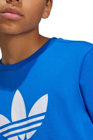 T-shirt - Bleu roi et blanc